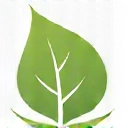 Levél ikon, ami a személyre szabott megközelítést jelképezi.